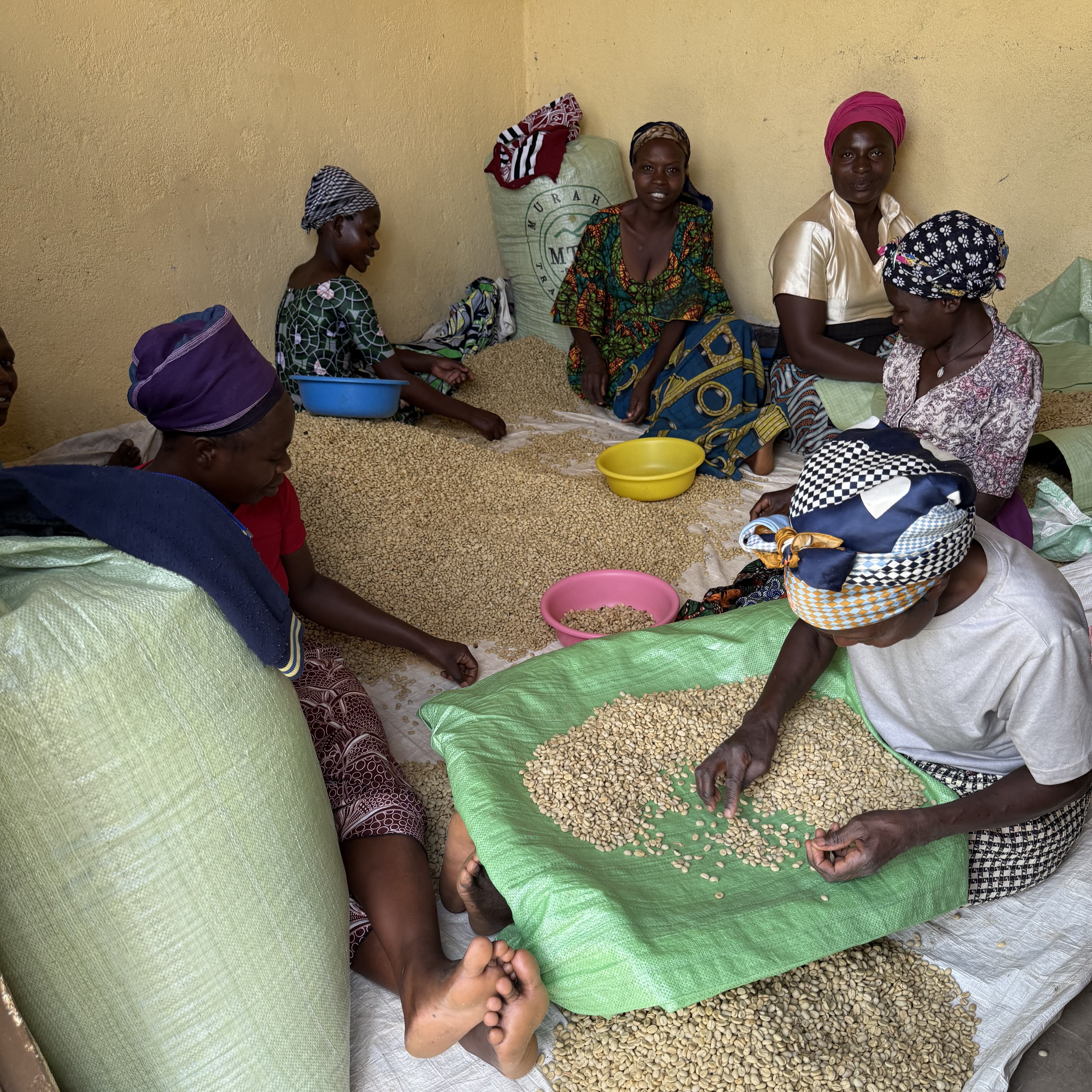 Rwanda Vunga A1 TOP Washed(24/25年クロップ) | ORIGIN COUNTRIES for